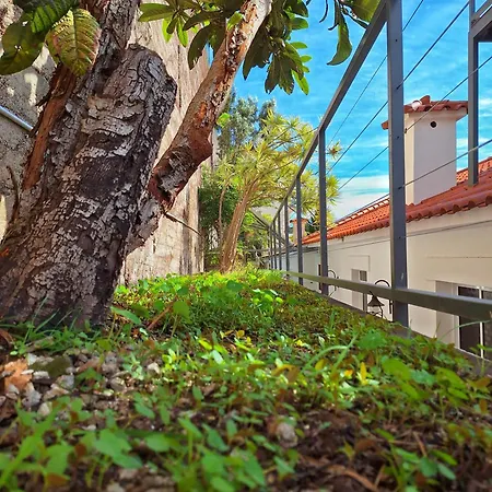 Дом отдыха Skyline *